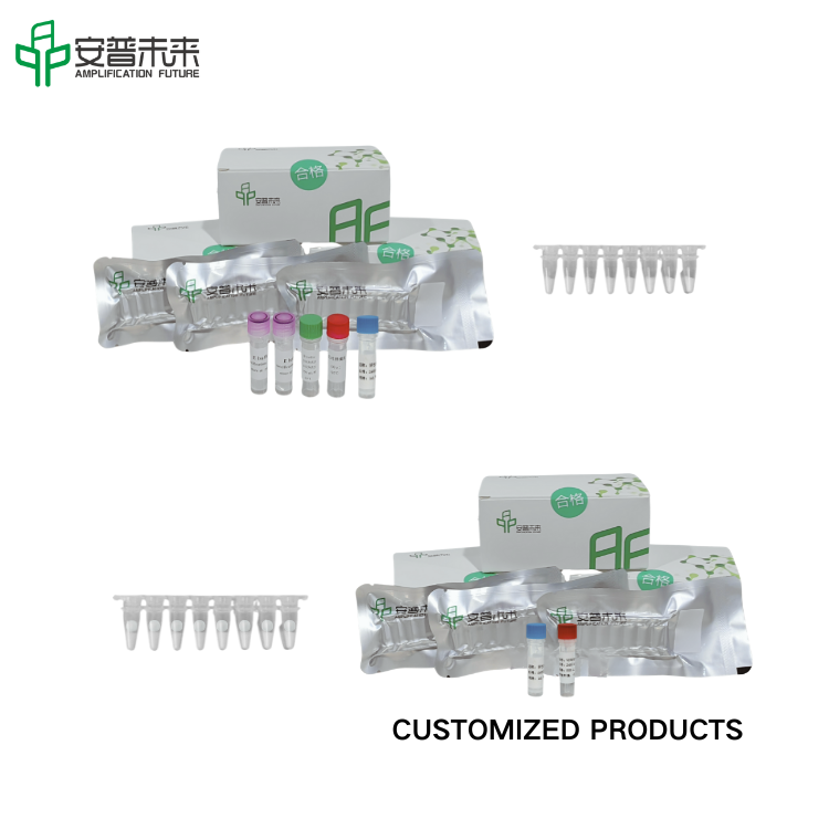 मीरा इन्फ्लूएंजा बी वायरस न्यूक्लिक एसिड टेस्ट स्ट्रिप डिटेक्शन किट रिसर्च का उपयोग केवल