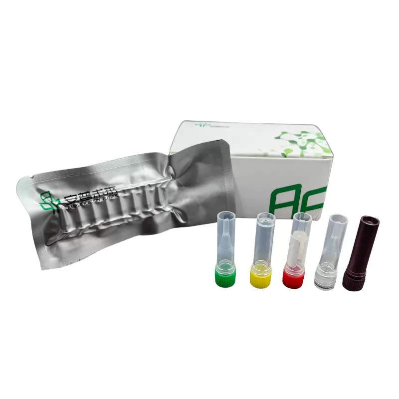 मीरा टोक्सोप्लाज्मा गोंडी प्रतिदीप्ति का पता लगाना किट अनुसंधान का उपयोग केवल